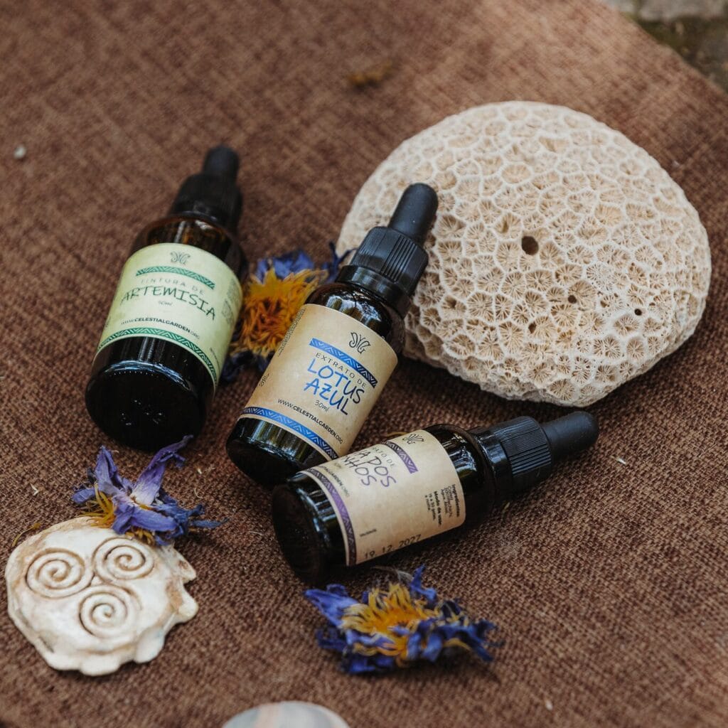 חלימה| תמצית קליאה זקצ'יצ'י