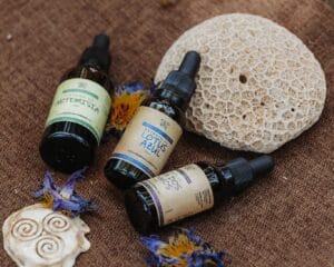 חלימה| תמצית קליאה זקצ'יצ'י