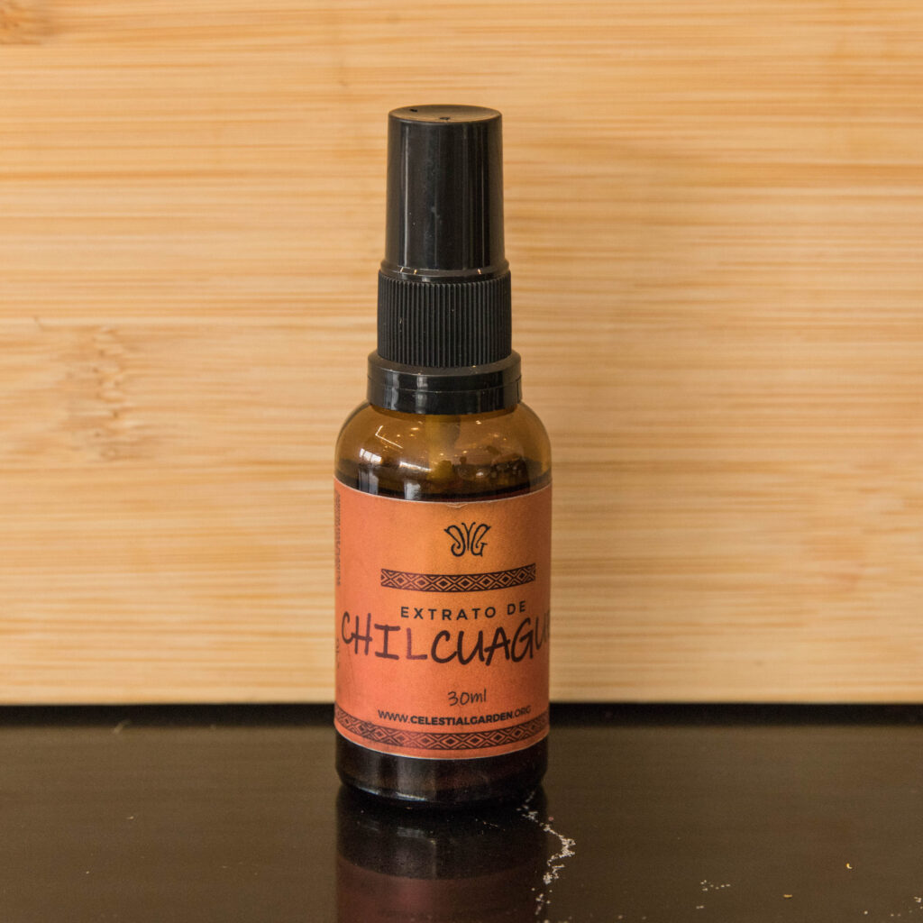 תמצית צ'ילקואגה