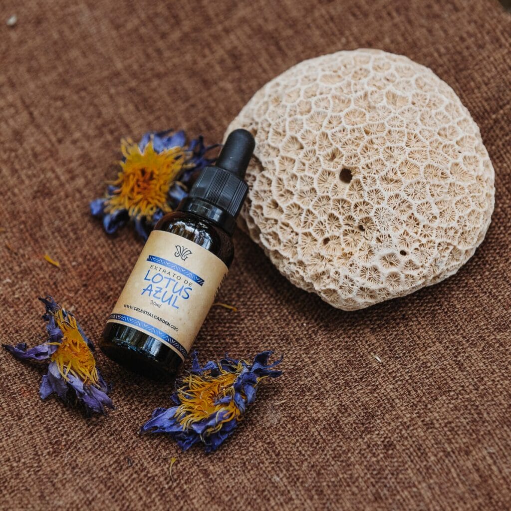 חלימה| תמצית בלו לוטוס