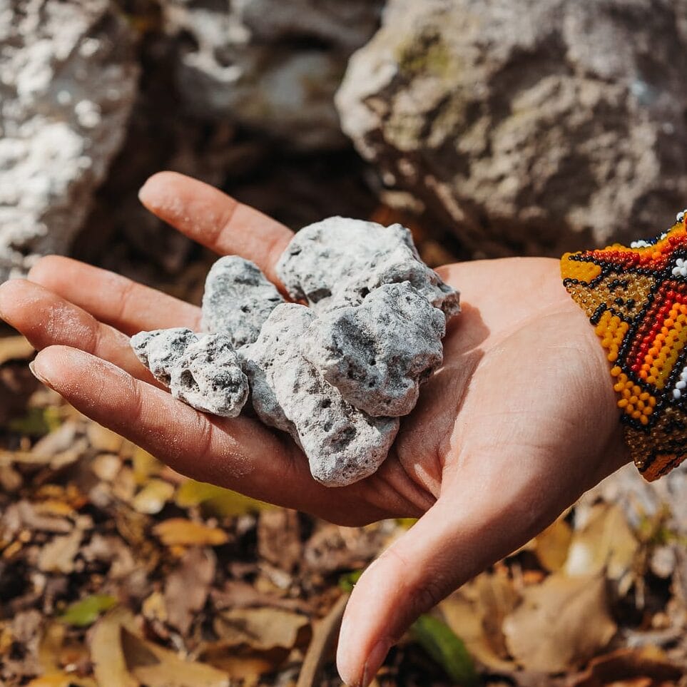 קופל אפור| פרו – תמונה 4
