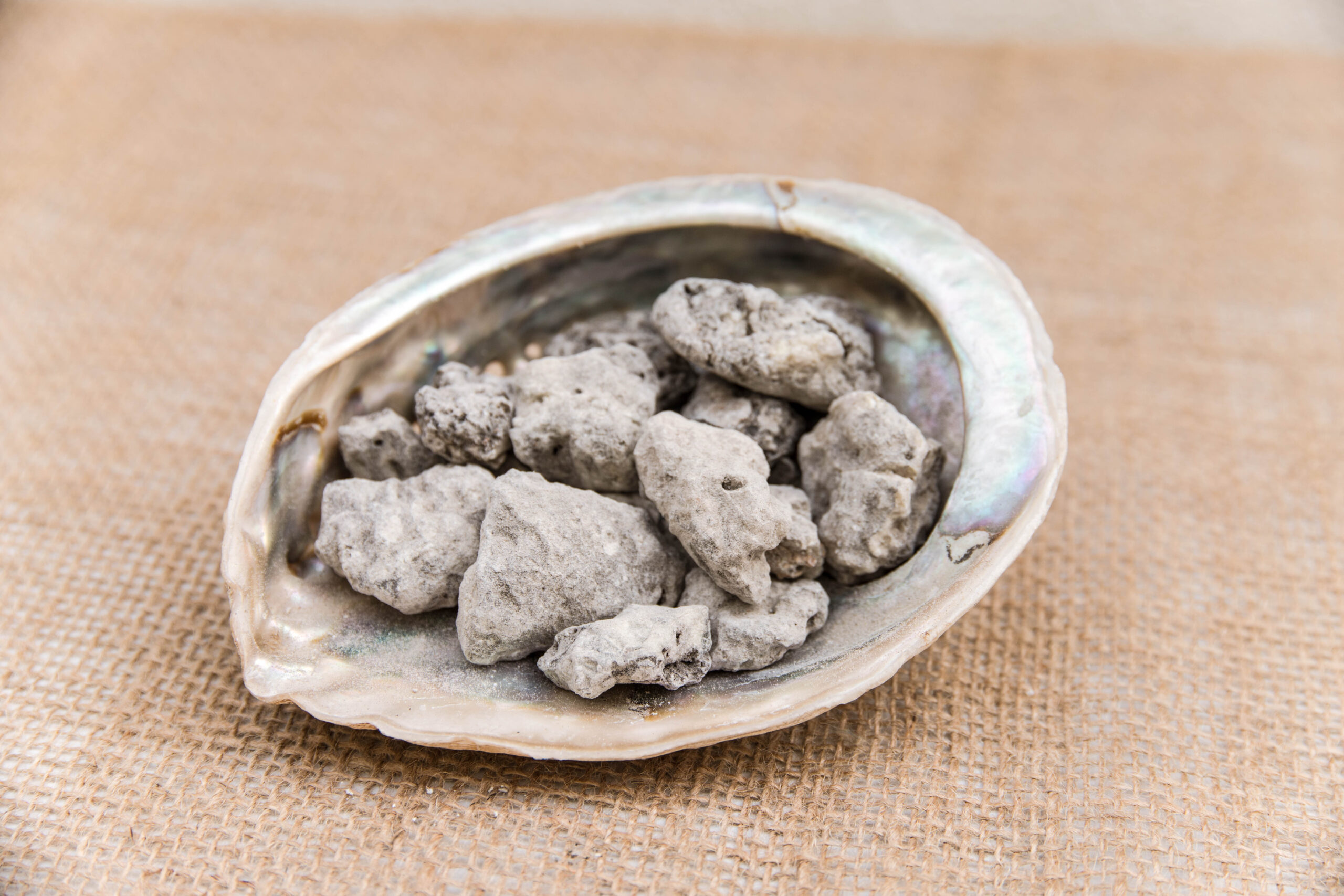 קופל אפור| פרו – תמונה 3