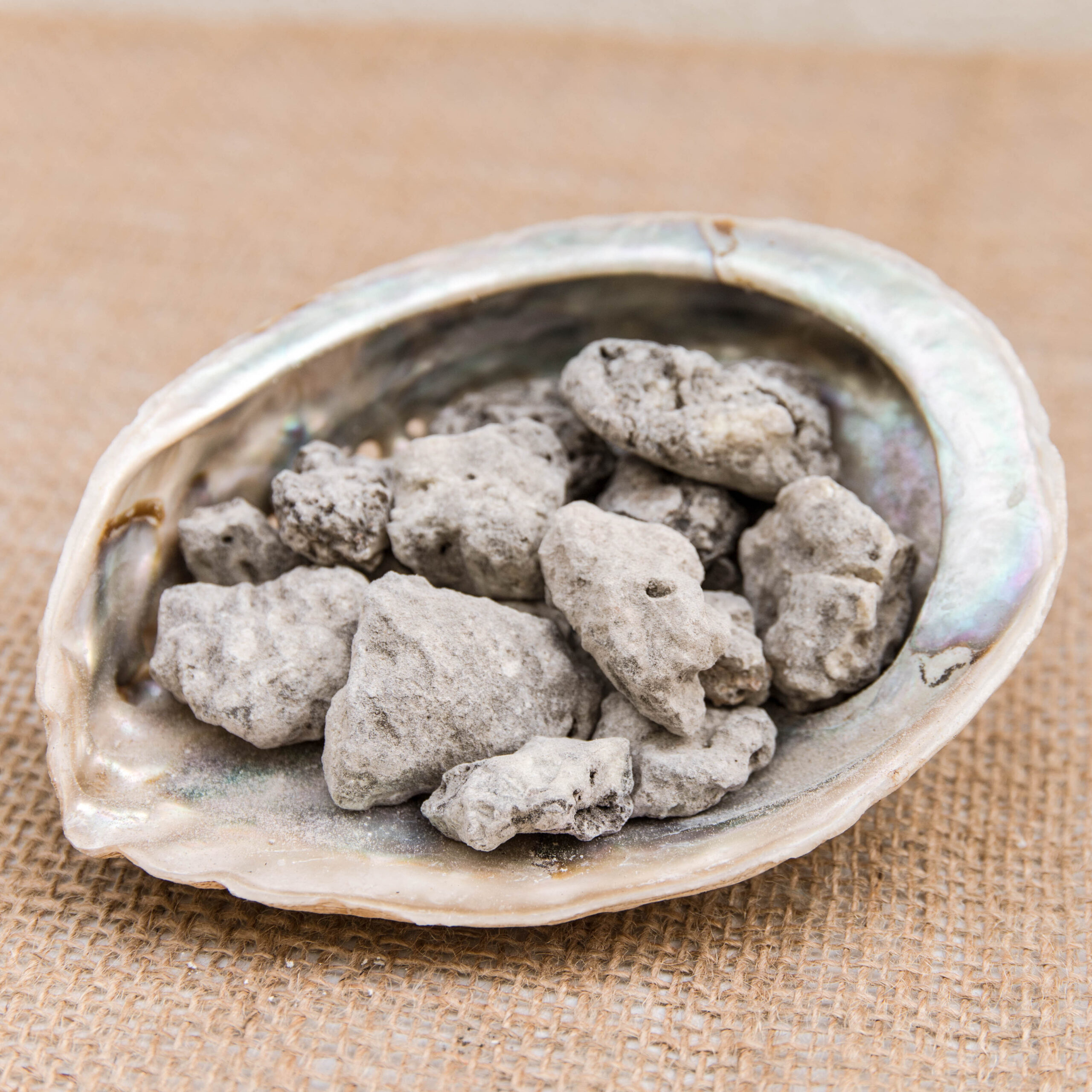 קופל אפור| פרו